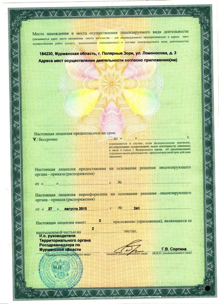 2 Лицензия на медицинскую деятельность